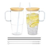Icesip 20oz Plastic Tumbler with Handle, 2Pack Clear Tumblers with Lid and Straw, Iced Coffee Cup with Bamboo lids for Cold Drinks, Coffee, Soda, Tea, Milk, Juice