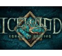 Icewind Dale: Enhanced Edition (PC) GOG.com Key - GLOBAL