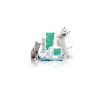 ICF Otodine Dog Ear Cleaner - Drops to Stop Head Shaking, Itchy & Waxy Ears - Non-Toxic - Ear Cleaning Solution for Dogs - Dropper Bottle 100 ml