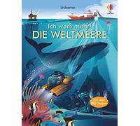 Ich weiß mehr! Die Weltmeere: mit über 80 Klappen