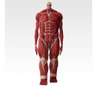 Ichiban Kuji Colossal Titan Figure I'll Take Down the Beast Titan Buy