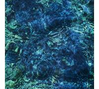 Aoba Ichiko Luminescent Creatures CD NEW