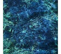 Ichiko Aoba - Luminescent Creatures [Vinyl LP] [VINYL]