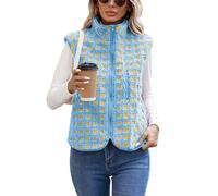 iChunhua Cute Stand Up Collar Sleeveless Fleece Gilet With Collar Womens Autumn Winter Comfy High Neck Ladies Lightweight Gilet Body Warmer Blue L