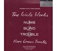 Icicle Works - Here Comes Trouble - Box