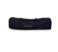 Ickle Bubba Discovery Protective Carry Bag