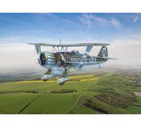 Hs 123A-1, Wwii German Attack Aircraft NEW