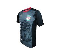 Icon Sports Men Liverpool Officially Licensed Soccer Poly Shirt Jersey -13 Large
