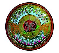 Iconic American Beauty vinyl record wall clock