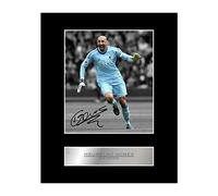 Iconic pics Heurelho Gomes Signed Mounted Photo Display Watford FC