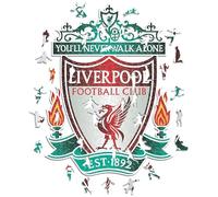 Iconic Puzzles, 100% eco-sustainable wooden puzzle with official license - Liverpool Logo, size L, 500 pieces