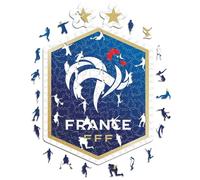 Iconic Puzzles, Team de France logo, 100% eco-sustainable wooden puzzle with official delicience, size S, 150 pieces