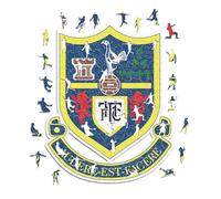 Iconic Puzzles, Tottenham Retro Logo, 100% eco-sustainable wooden puzzle with official license, size M, 270 pieces