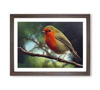 Iconic Robin Bird Framed Print | A3 Walnut Framed Wall Art | Ready to Hang | Modern Animal Picture | Living Room Bedroom Lounge Office