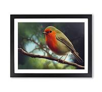 Iconic Robin Bird Framed Print | A4 Black Framed Wall Art | Ready to Hang | Modern Animal Picture | Living Room Bedroom Lounge Office