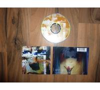 Icons 'n' idiots (1995)