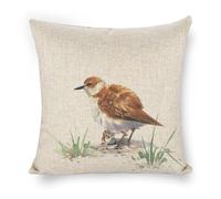 Icotoibabie Spring Decorations for Home - Pheasant Bird Pillow Cases Standard Size 18x18 - Linen - Invisible Zipper - for Sofa Car Bedroom Indoor Cushion Covers Watercolor