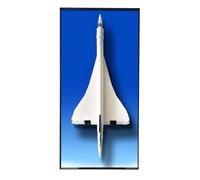 ICUANUTY Display Wall Board for Lego Icons 10318 Concorde Wall Mount for Lego Model Car Size: 110 x 55 cm for Lego Models Not Included
