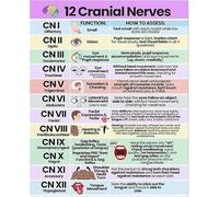 ICYJRFHLTF Anatomy and Cranial Nerves Chart Metal Sign Color Coded Neurology Guide Educational Poster for Students Home Office 8 X 12 in