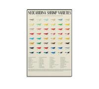 ICYJRFHLTF Aquarium Shrimp Guide Poster, Neocaridina Varieties and Color Chart for Species Identification, Educational Wall-Art for Hobbyists and Classrooms(Framed,08x12inch(20x30cm))