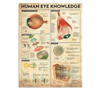 ICYJRFHLTF Human Eye Anatomy Metal Sign Vintage Retro Rustic Tin Poster Wall Decor for Optometry Office 8 X 12 in