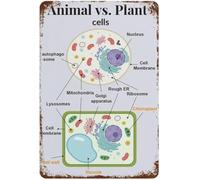 ICYJRFHLTF Retro Cell Structure Metal Sign Eukaryotic Animal Plant Comparison Diagram Poster Cell Membrane Vacuole Wall-Art Plaque School Wall Hanging Tin Sign 8 X 12 inch