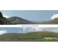 iD Backscenes Scenic Backgrounds - 15 inches high - Forest Hills (201A)