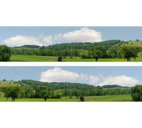 id Backscenes Scenic Backgrounds - Village Long (202A) - 15m x 9.84ft - 2 Backdrop Sections - Paper - Multicolor - Photography Studio