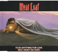 I'd Do Anything For Love (But I Won't Do That)