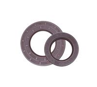 ID16/17/18/19/20mm,Brown Framework Oil Seal Fluoro Rubber Gasket Cover Double Lip with Spring(16x24x5(2pcs))
