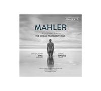 ID3z - DAVID JOHN PIKE DAV - MAHLER ORCHESTRAL SO - CD - New