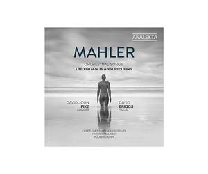 ID3z - DAVID JOHN PIKE DAV - MAHLER ORCHESTRAL SO - CD - New