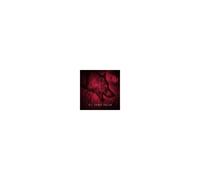 All Things Fallen - All Things Fallen