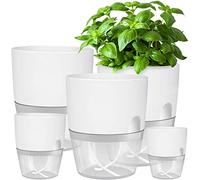 iDattel Plastic Plant Pots Indoor,15.3/10.5/8.2 cm Self Watering Plant Pots 5 Pack,Flower Pot Modern Decorative Plastic Planter with Extra Large Water Storage for All House Plants,Herbs(White)