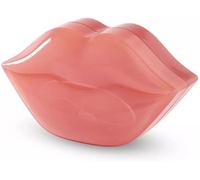 Idc Institute Hydrogel Lip Mask 22 Units