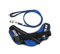 IDC Powair Bundle - IDC Powair Harness, Size: L/1, Blue + IDC Powair Leash, Size: 1,2 m with Handle and Large Carabiner, Blue