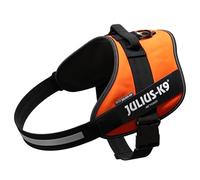 Julius-K9, 16IDC-FOR-4, IDC Powerharness, dog harness, Size: 4, UV Orange