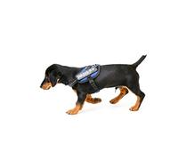 IDC Powerharness, Size: 3XS/Baby 1, Blue