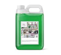 IDEA HOME MS. KITCHEN Washing Up Liquid 5L Concentrated Vegan Mint Fresh Scent