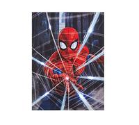 Idea Nuova Marvel Spiderman Canvas LED Wall Art,Childrens Wall Hanging Décor,11.5"x15.75"