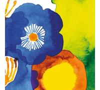 Ideal Home Range Boston International 20 Count 3-Ply Paper Lunch Napkins, Marimekko Juhannustaika