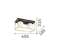 Ideal Lux Lingotto 2 Light Globe Ceiling Light Black