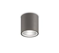 Luminosa Lighting Luminosa Outdoor 1 Light Surface Mounted Ceiling Lamp Anthracite Ip44, Gu10