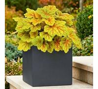 Idealist™ 25Cm Square Planter, Slate Grey Reinforced Stone Flower Box Garden Planter, Outdoor Plant Pot