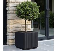 Idealist™ 37Cm Planter, Ribbed Black Reinforced Stone Square Flower Box Garden Planter, Outdoor Plant Pot