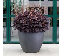 Idealist™ 40Cm Plant Pot, Slate Grey Light Concrete Garden Planter For Trees, Outdoor Egg Round Flower Pot D40 H36 Cm, 45L