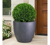 Idealist™ 50Cm Large Plant Pot, Slate Grey Light Concrete Garden Planter For Trees, Outdoor Egg Round Flower Pot D50 H50 Cm, 98L