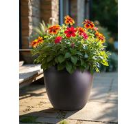 IDEALIST 50cm Large Planter for Trees | Black Reinforced Stone Egg Flower Pot | Garden Planters with Drainage Holes D50 H50 cm, with Inner Top D44 cm, 98 litres