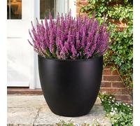 Idealist™ 50Cm Plant Pot, Black Light Concrete Large Garden Planter For Trees, Outdoor Egg Round Flower Pot D50 H45 Cm, 88L