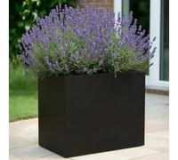 Idealist™ 50Cm Planter Garden Trough, Black Reinforced Stone Narrow Rectangular Planter, Outdoor Plant Pot H40 L50 W20 Cm, 40L